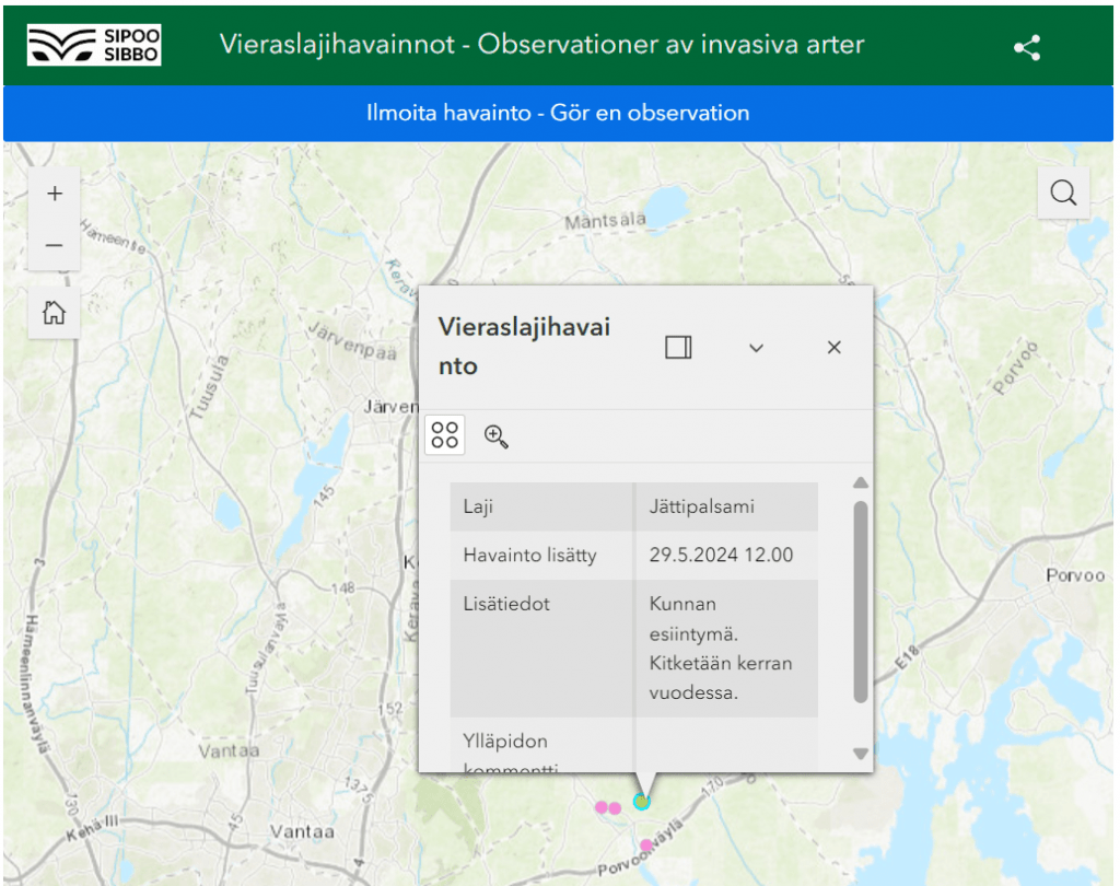 Kuva Sipoon kunnan vieraslajiportaalista. Kuvassa kartta ja jättipalsamin havainto.